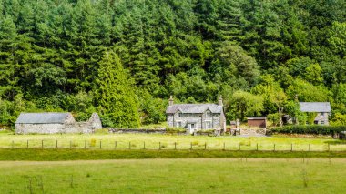 Eski yazlık ve koyun Snowdonia Np, Galler, Birleşik Krallık