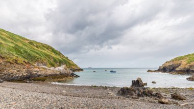 Martins Haven Pembrokeshire, Galler, İngiltere'de