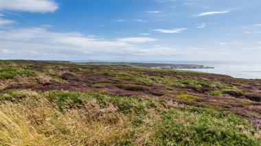 Anglesey sahil, Galler, Birleşik Krallık