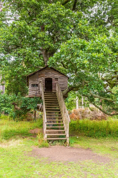 Уютный домик на дереве — стоковое фото