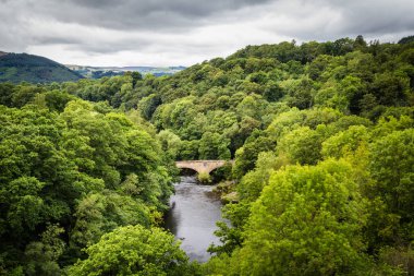 Landscape river Dee Wales, UK clipart