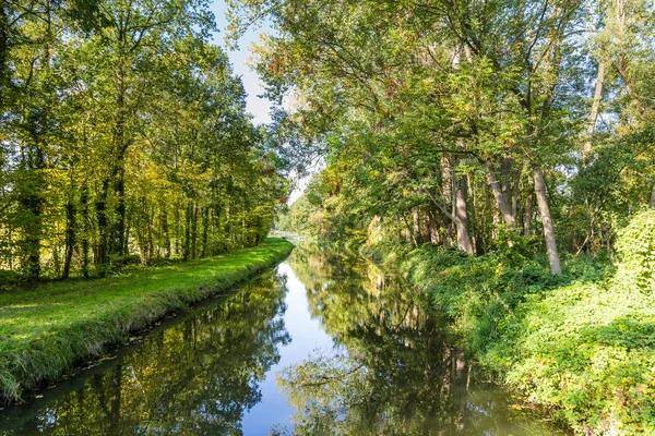 Árboles reflejándose en el agua —  Fotos de Stock