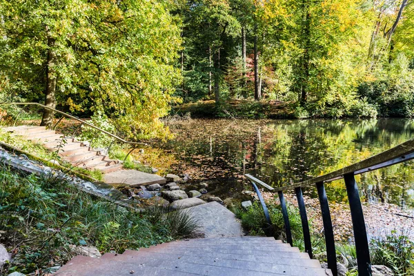 秋の間に森の中の小さなプール — ストック写真