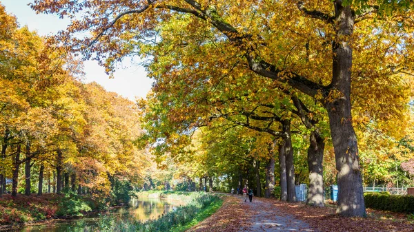 Dutch channel in autumn colors — Stock Photo, Image