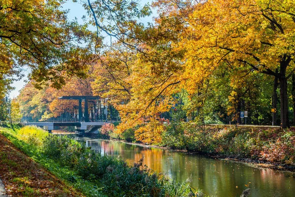 Dutch channel in autumn colors — Stock Photo, Image