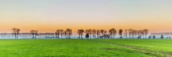 Sonnenuntergang mit ländlicher holländischer Landschaft — Stockfoto