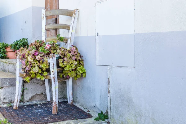 Holzstuhl mit Blumen auf Sardinen — Stockfoto
