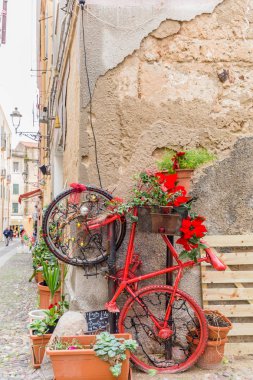 renkli Bisiklet çiçekli