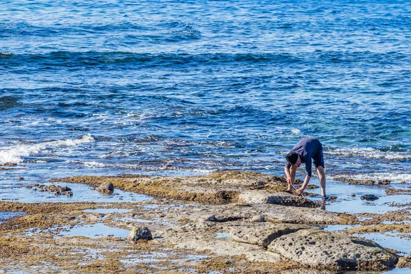 Homem coleta ouriços do mar — Fotografia de Stock