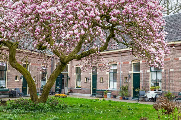 Ancient houses in Zutphe Holland — Stock Photo, Image