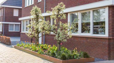 Modern Hollandalı evlern 