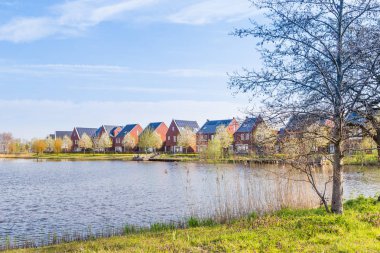 Modern Hollanda evleri 