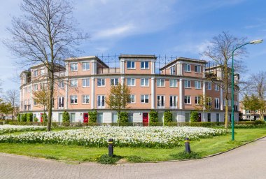 Modern Hollanda evleri 