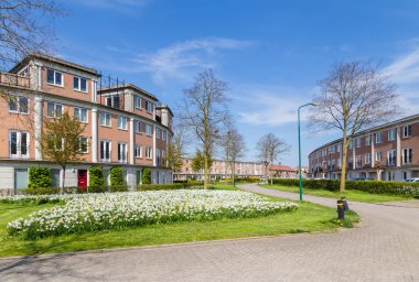 Modern Hollanda evleri 