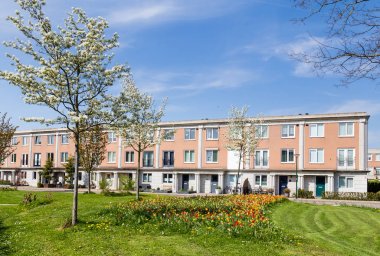 Modern Hollanda evleri 