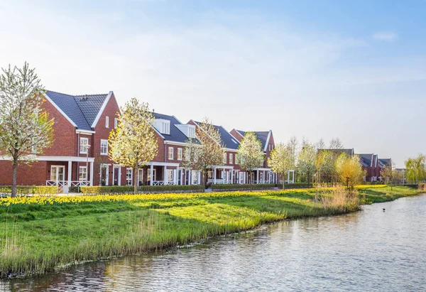 Modern Dutch housesn — Stock Photo, Image