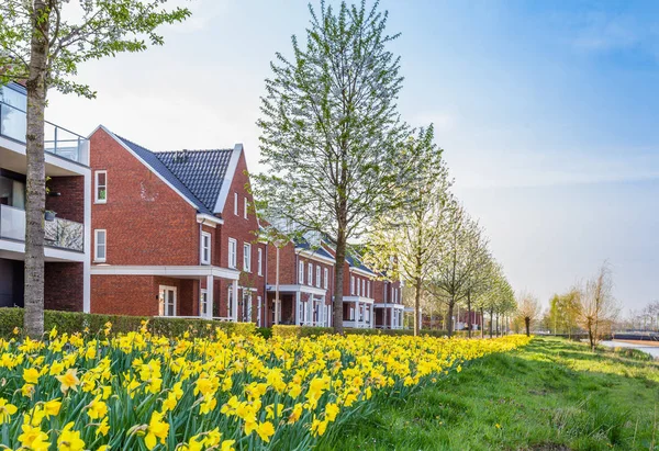 Modern holland housesn — Stock Fotó