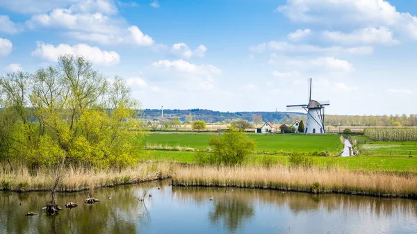 Wit Hollands windmolenlandschap — Stockfoto