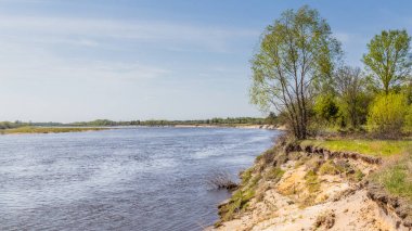 Çernobil Beyaz Rusya yakınlarındaki Pripyat nehri