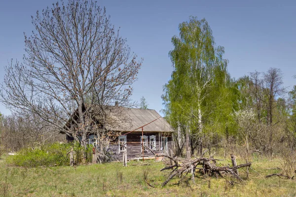 Elhagyott falvak Fehéroroszország csernobili övezet — Stock Fotó