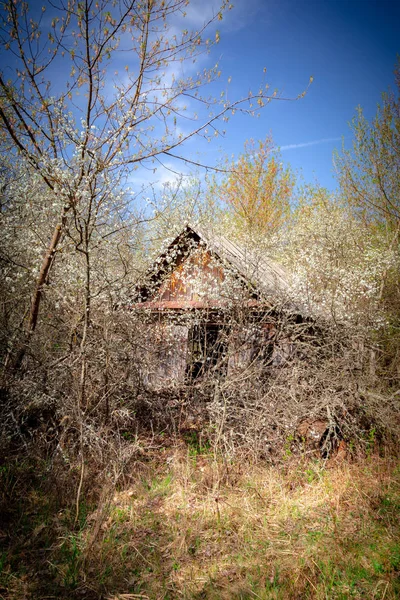 Villaggi abbandonati in Bielorussia Zona di esclusione di Chernobyl — Foto Stock