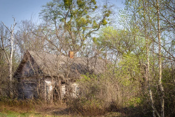 Opuštěné vesnice v Běloruské zóně vyloučení Černobylu — Stock fotografie