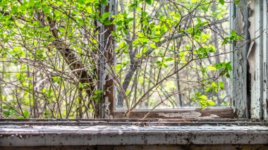 Çernobil'de daraltılmış pencere