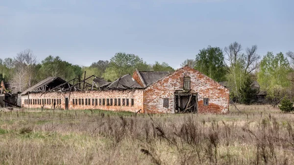 Exploração agrícola em declínio em Chernobil — Fotografia de Stock