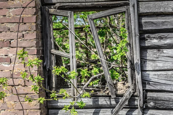 Janela em colapso em Chernobyl — Fotografia de Stock