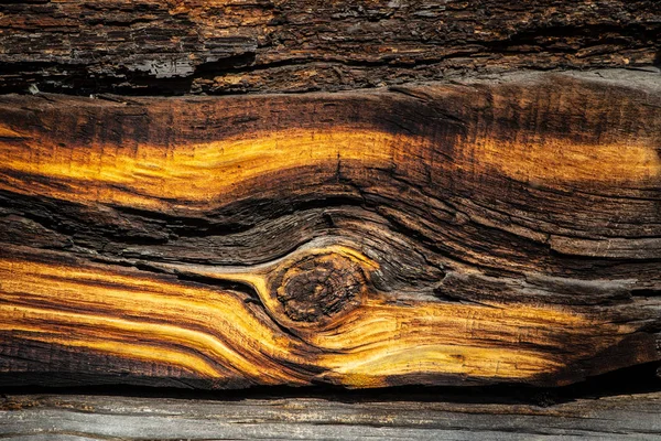 Kleurrijke houten plank — Stockfoto