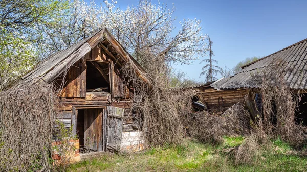 Villaggi abbandonati in Bielorussia Zona di esclusione di Chernobyl — Foto Stock