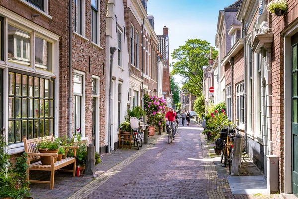 Gezellige groene straat in Haarlem in Nederland — Stockfoto