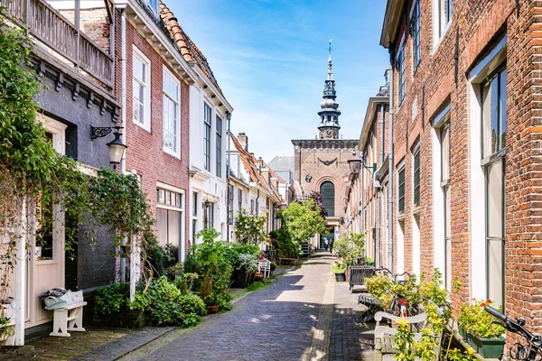 Cozy green street in Haarlem in the Netherlands — Stock Photo, Image