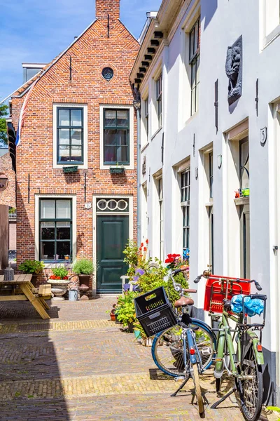 Gezellige groene straat in Haarlem in Nederland — Stockfoto