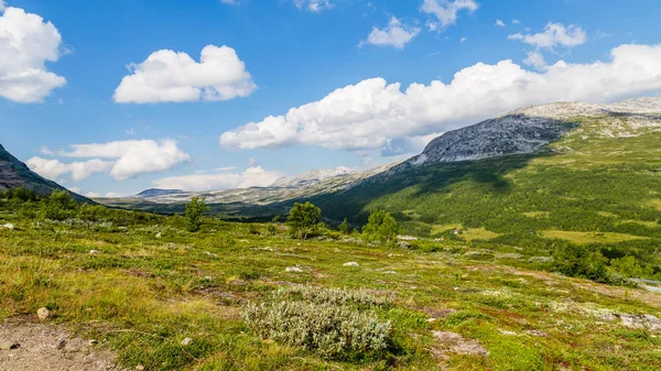 Panoramik manzara Aurland, Sogn og Fjordane, Norveç — Stok fotoğraf