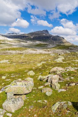 Panoramik manzara Aurland, Sogn og Fjordane, Norveç
