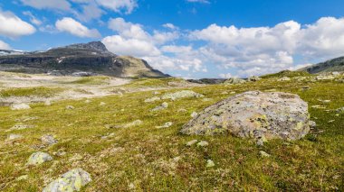 Panoramik manzara Aurland, Sogn og Fjordane, Norveç