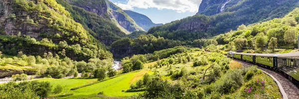 Utsikt från tåg Flamsbana — Stockfoto