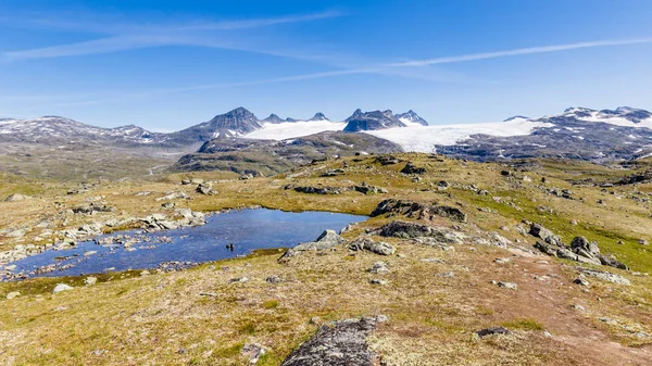 Norveç'in çatısında bakış açısı Sognefjellshytta — Stok fotoğraf