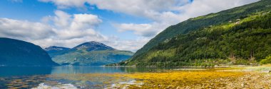 Valldal Norveç Norddalsfjorden görünümü