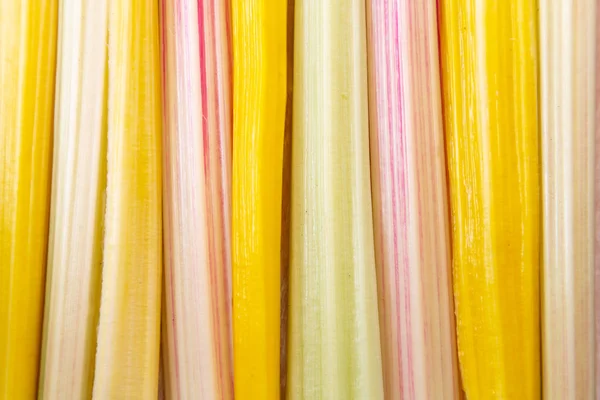 Rainbow chard abstract