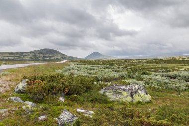 Rondane Milli Parkı Norveç'te