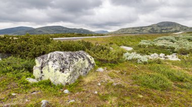 Rondane Milli Parkı Norveç'te