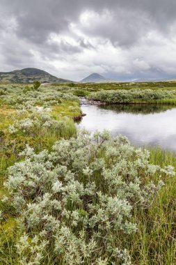 Rondane National Park in Norway clipart