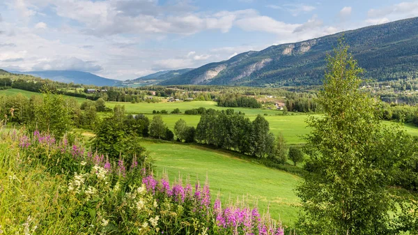 Sorr-Fron, een gemeente in de Noorse provincie Oppland — Stockfoto