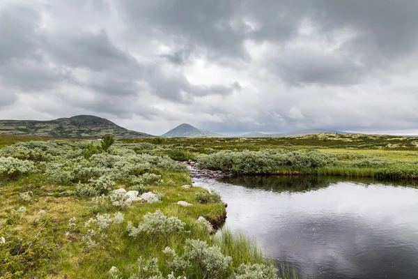 Nationalpark Rondane in Norwegen — Stockfoto