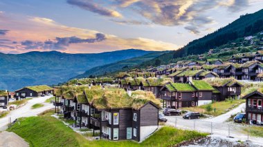 Traditional summer houses with natural green roofs