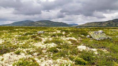 Rondane Milli Parkı Norveç'te