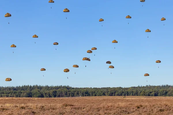 空挺部隊はオランダをジャンプ — ストック写真