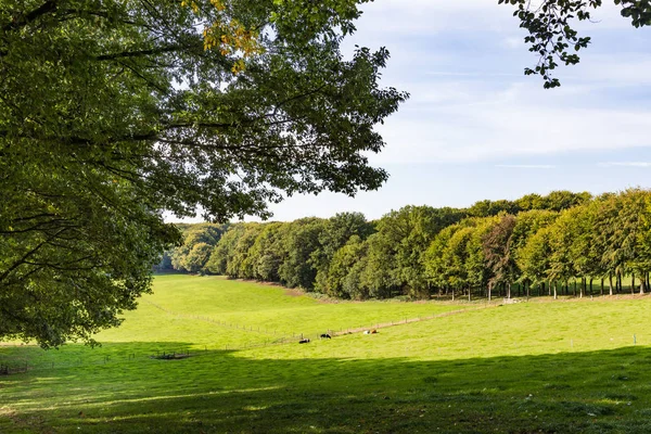 Estate Mariendaal, Arnhem, Países Baixos — Fotografia de Stock